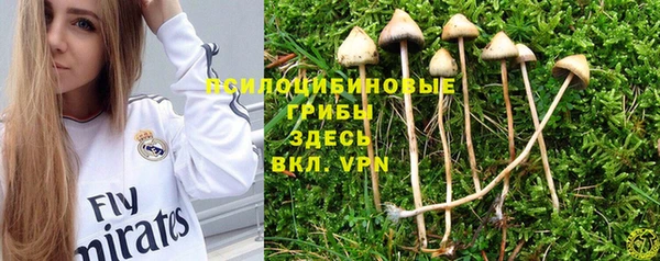 шишки Баксан